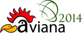 logo-Aviana