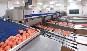 Egg grading facility at Rattanaphum, 30 km northeast of Hat Yai with 45,000 eggs/hour capacity, serves customers within 300 km.