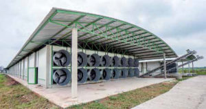 Each house (15x105x3.5m) is fitted with 16 1.5-hp fans 127 cm in diameter for maximum air movement capacity of 36 m/sec.